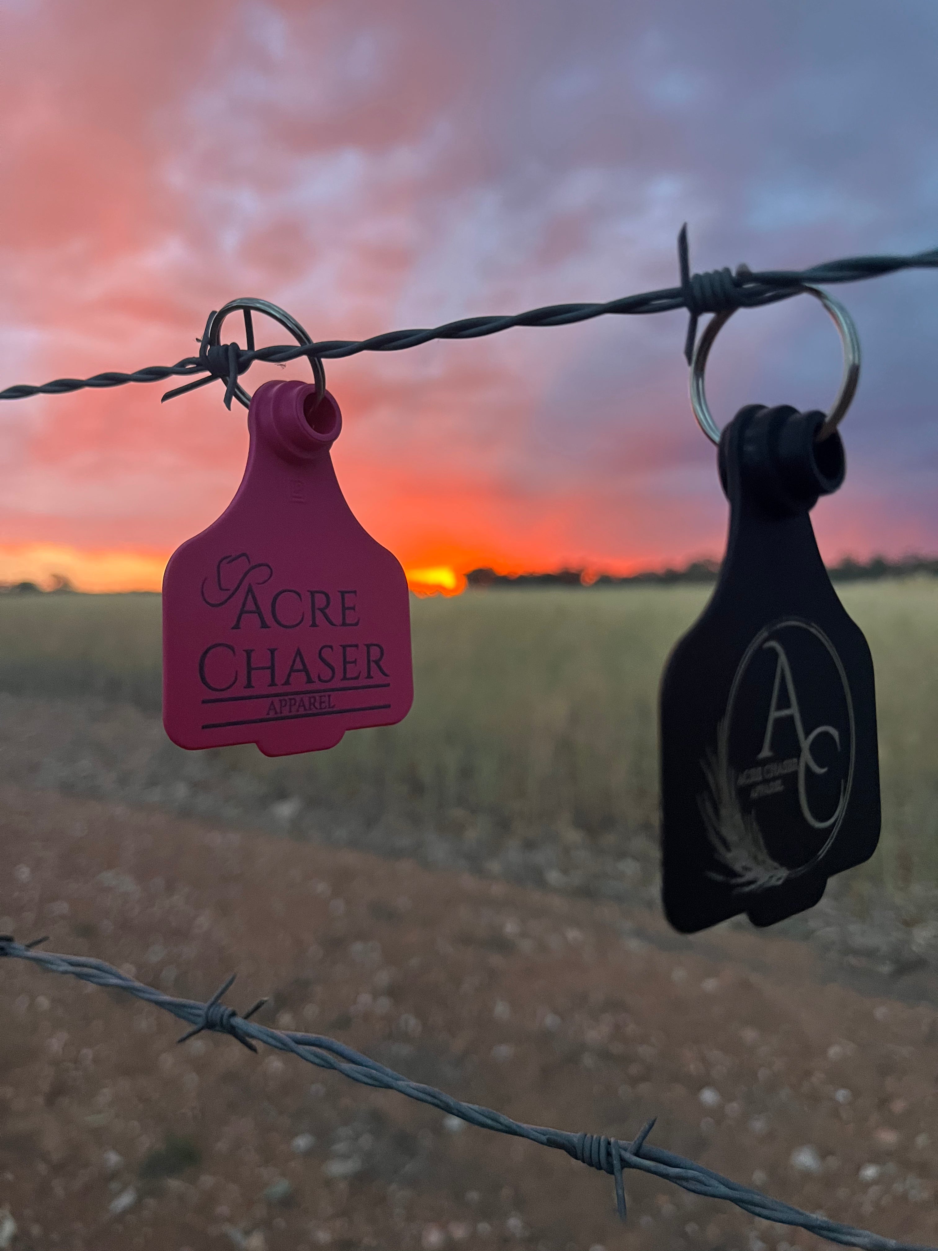 Cattle Tag Key Rings